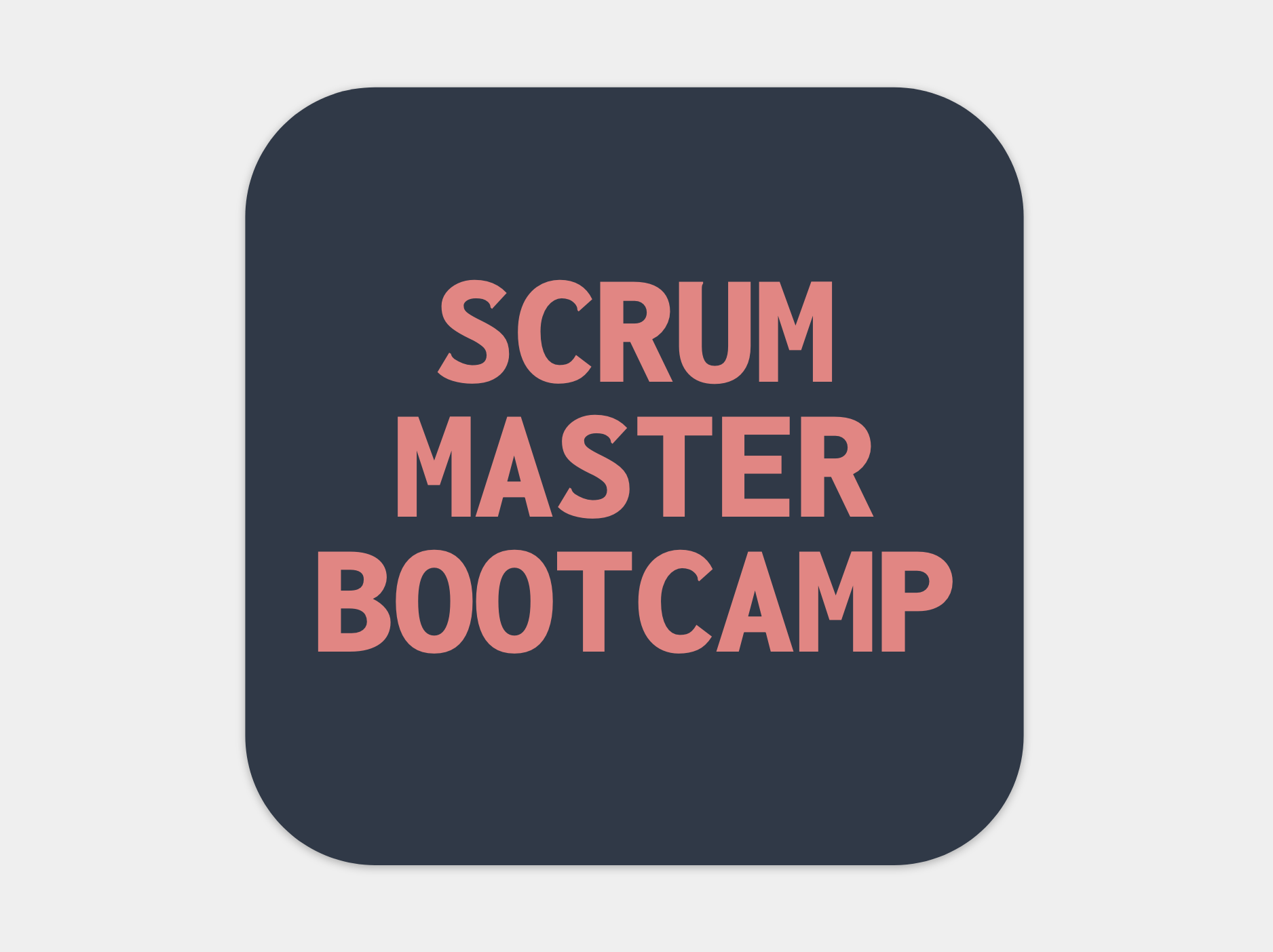 Scrum Master Bootcamp Spielertrainer Innovation & Agilität