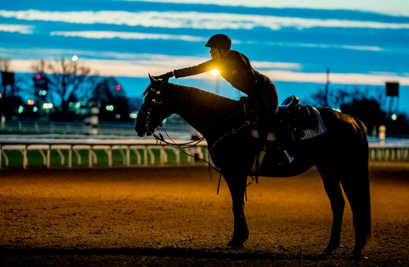 Breeders' Cup Post Position Draw Rapid Reaction 1/ST BET NEWS