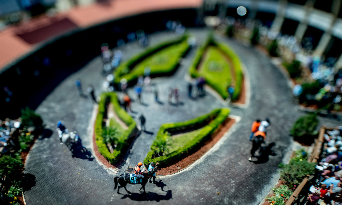 Fair Grounds AllStakes Pick 5 Primer Saturday, February 17, 2024 1