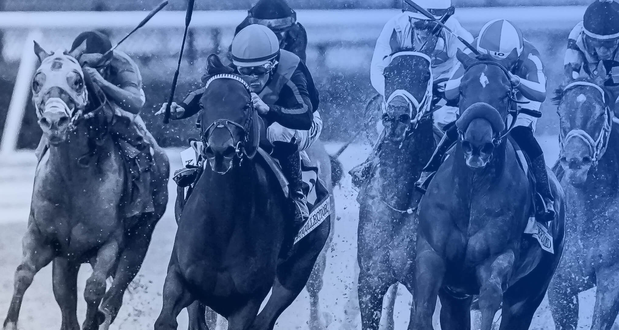 Bet the FOUNTAIN OF YOUTH