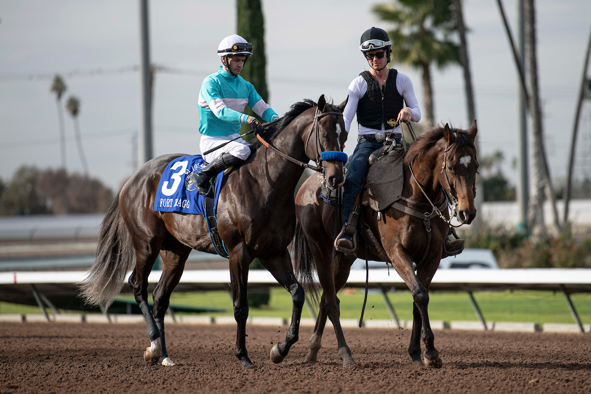 Sunland Derby Video Preview Jeff Siegel & Jeremy Plonk 1/ST