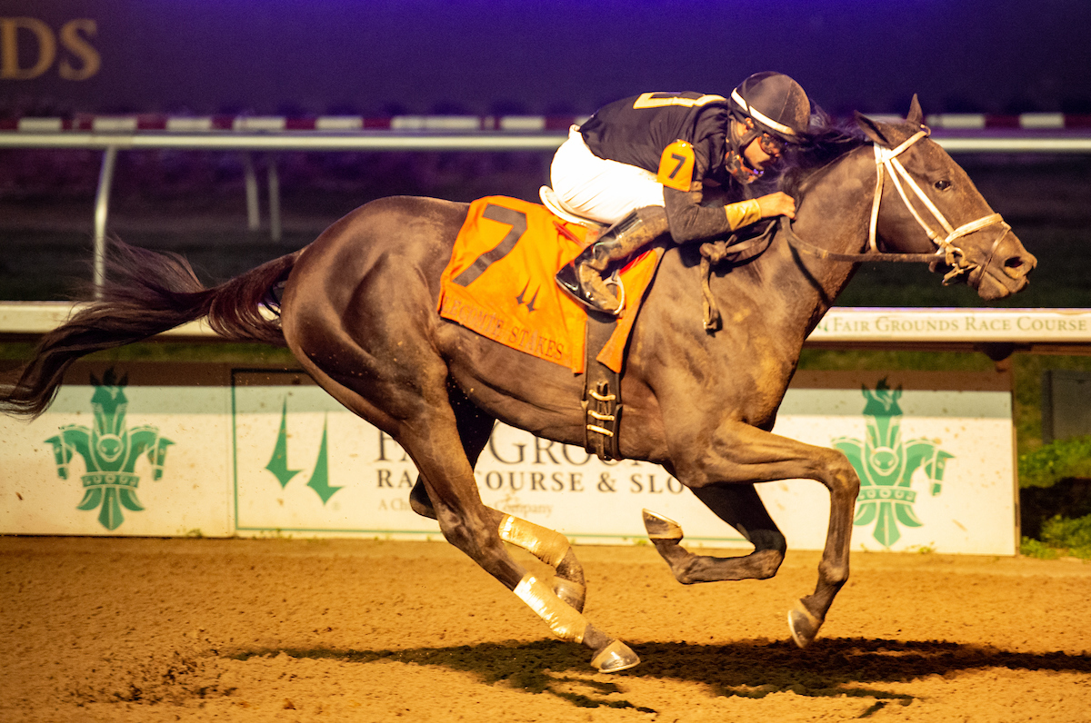 Louisiana Derby Video Preview Jeff Siegel & Jeremy Plonk 1/ST BET NEWS