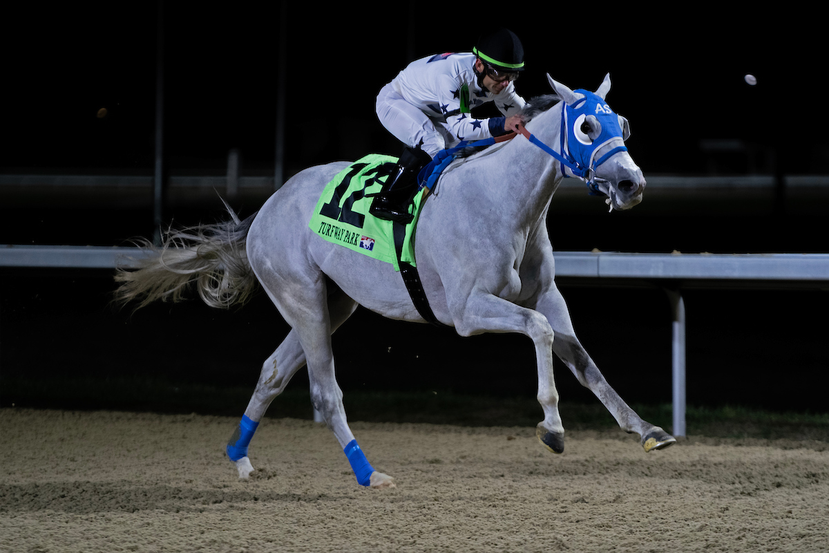 Jon White: Louisiana Derby, Jeff Ruby and Sunland Derby Picks - 1/ST ...