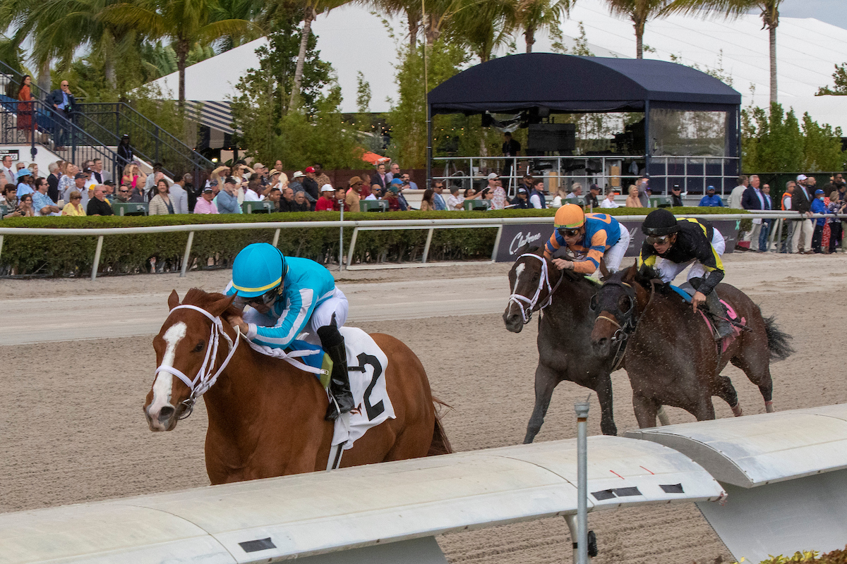 Florida Derby Longshots to Watch Jeff Siegel & Jeremy Plonk