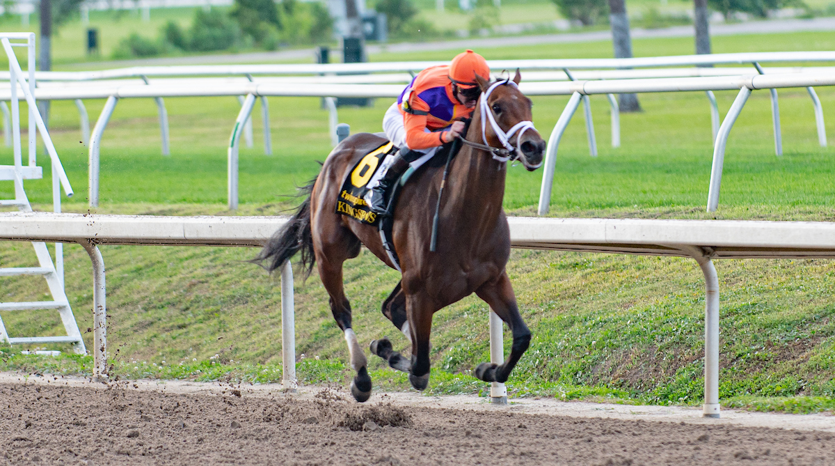 Kentucky Derby Picks 1/ST BET