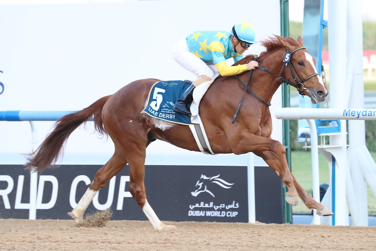 Jeff Siegel Kentucky Derby Picks 1/ST BET NEWS