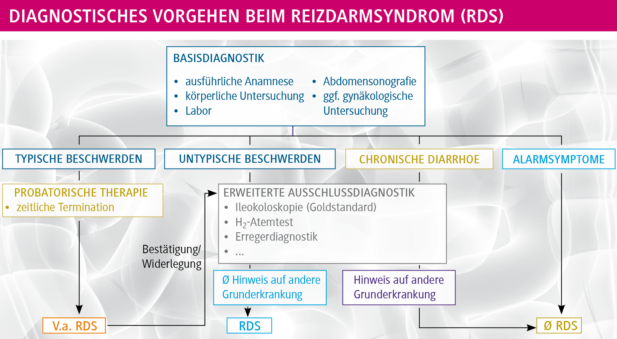 Diagnose und Therapie