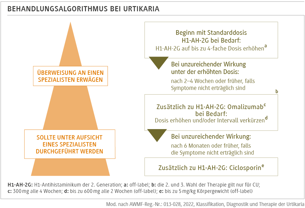 Management der Urtikaria DER PRIVATARZT DIGITAL