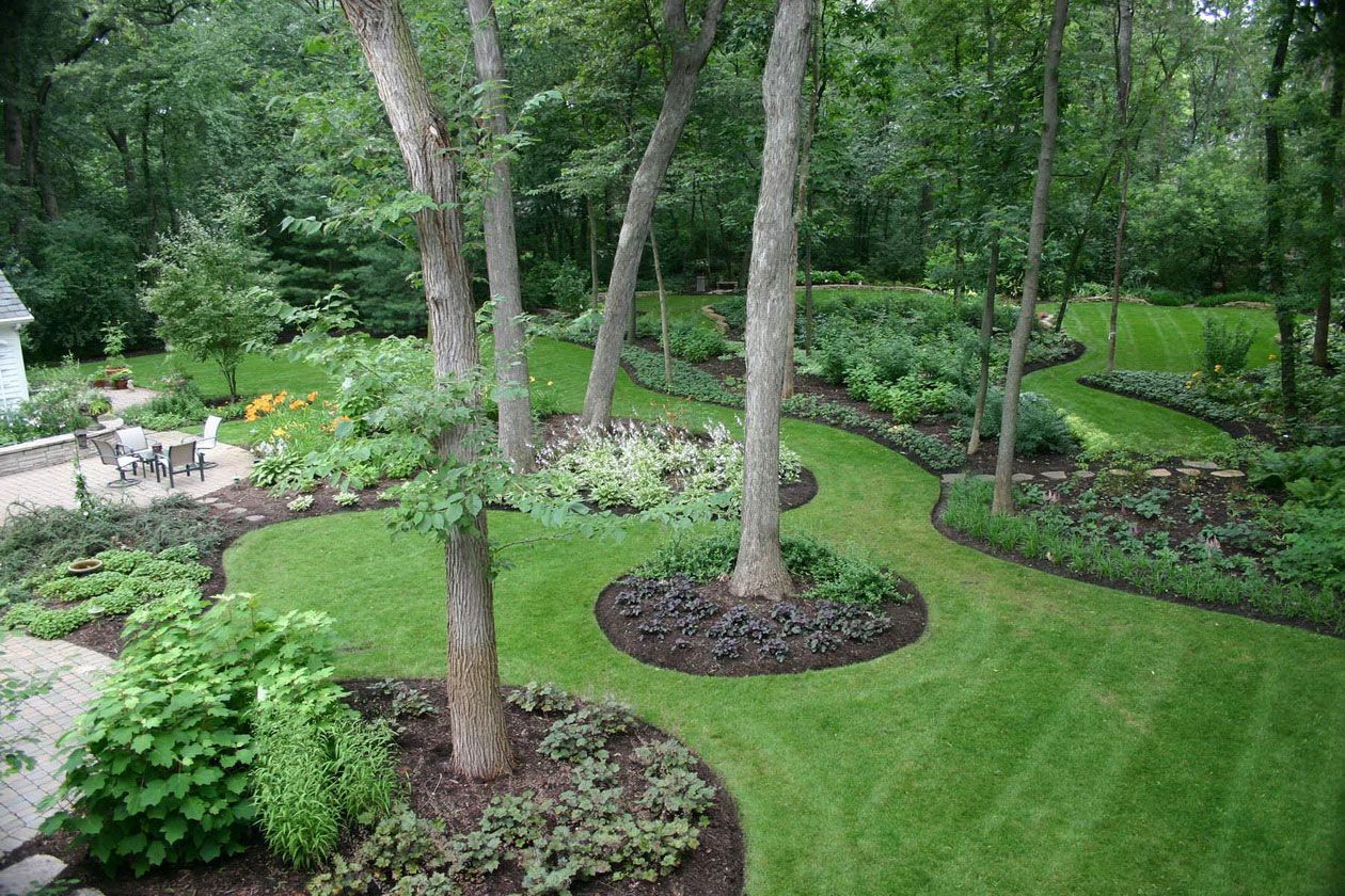 Choosing the Right Trees: A Guide to Selecting and Planting the Perfect ...