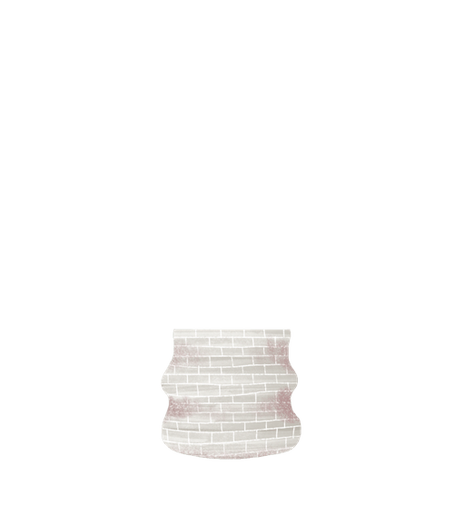 maranta pot