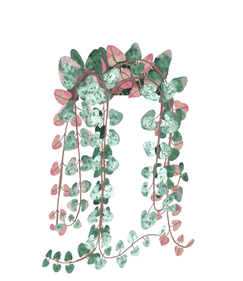string of hearts