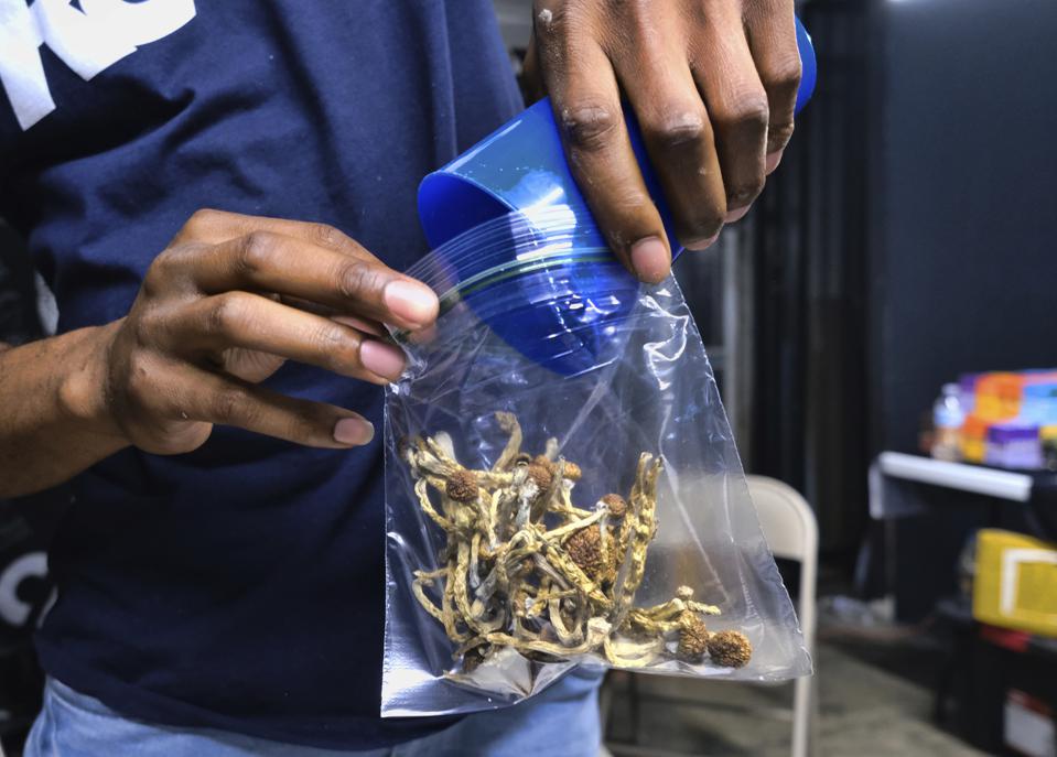 Tokyo Smoke co-founder Lorne Gertner is launching a magic mushroom business