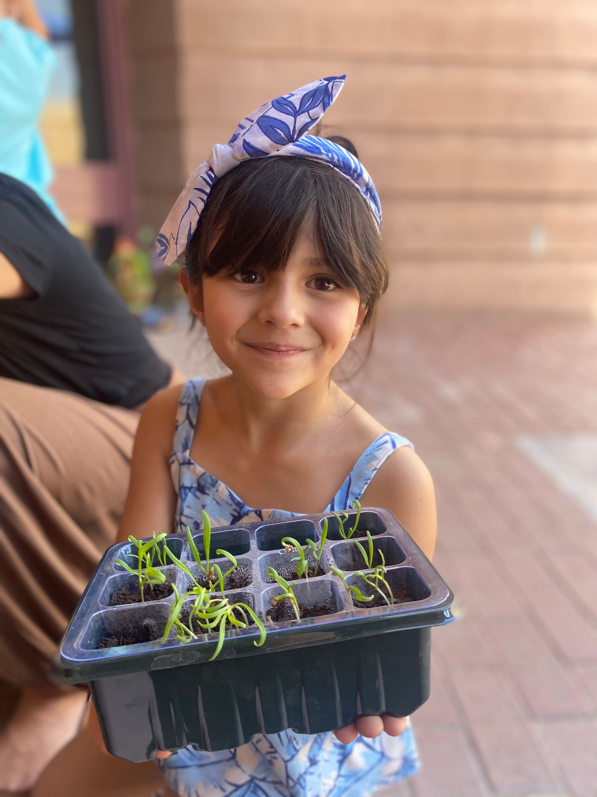 Primer Scottsdale Now Enrolling K 5 Primer scottsdale now enrolling k 5