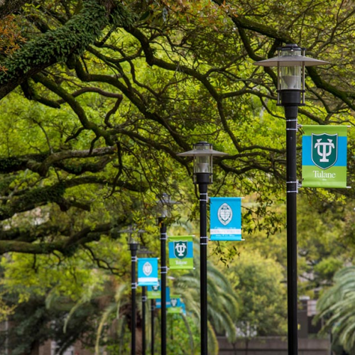 Tulane Expands its Partnership with Noodle Partners with an Online Master of Public Health