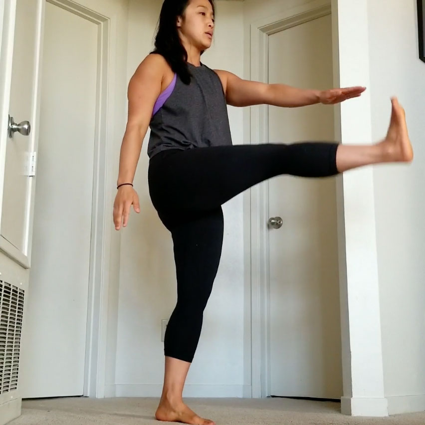 Standing Singleleg Lift Gymparty