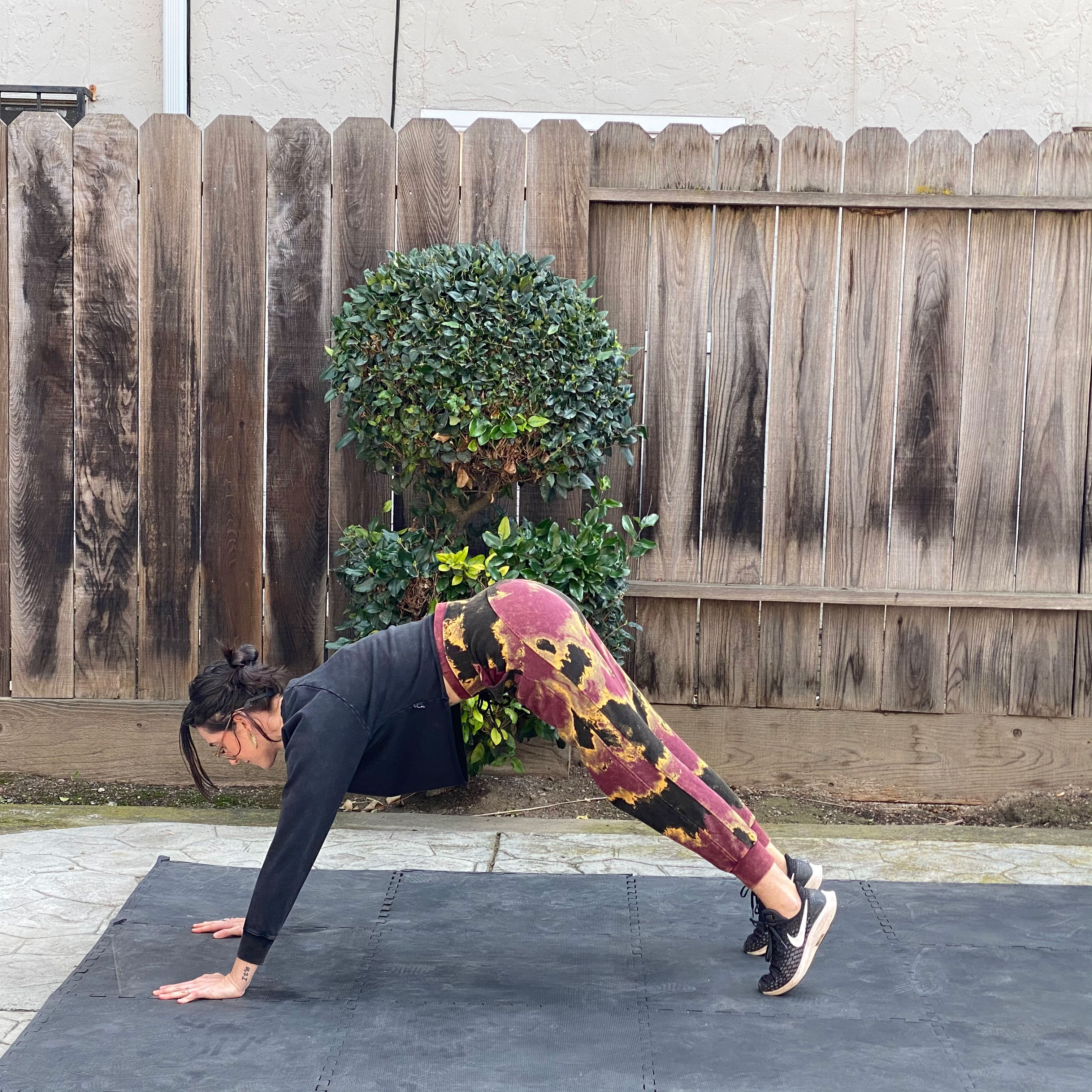 Plank to Downward Dog Gymparty