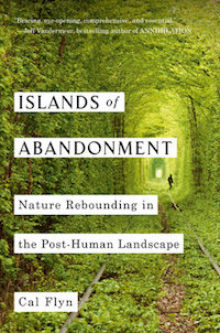 Great for a day poolside or one spent on the beach, these books are the perfect summer reads.