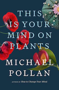 Great for a day poolside or one spent on the beach, these books are the perfect summer reads.