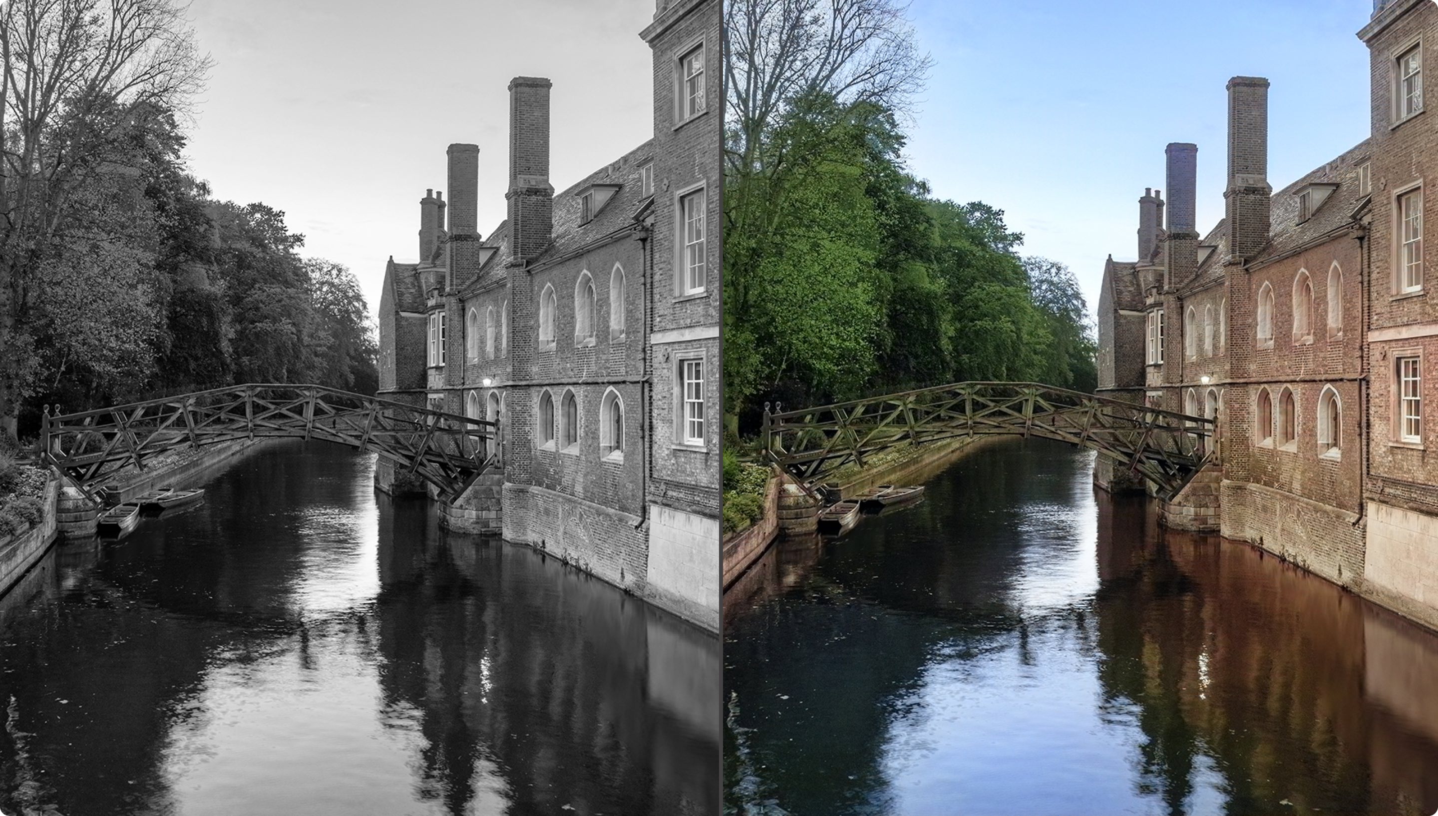 Focus: VIDEO: How to use AI to colourise black and white images in ...
