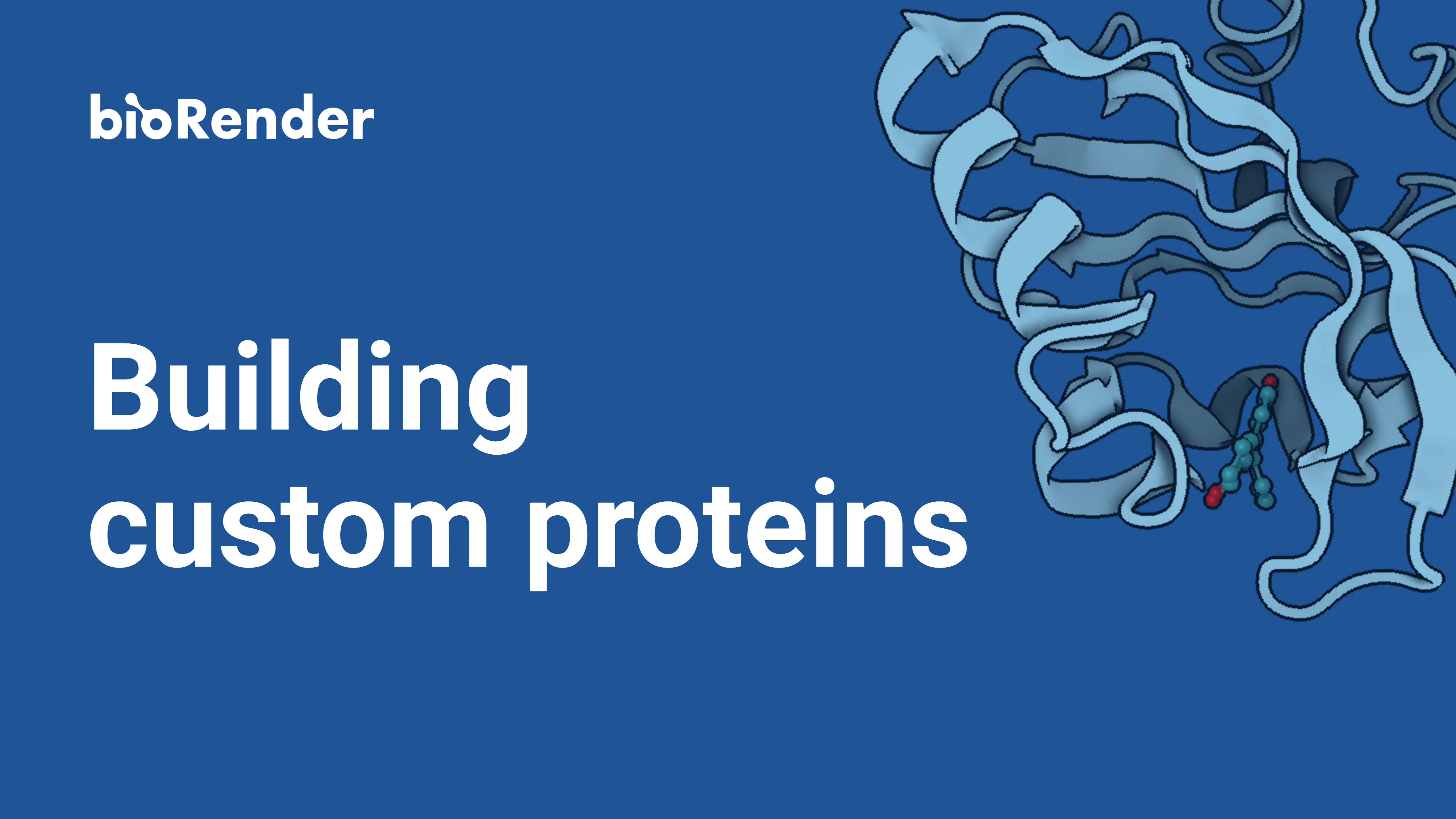 Building custom proteins