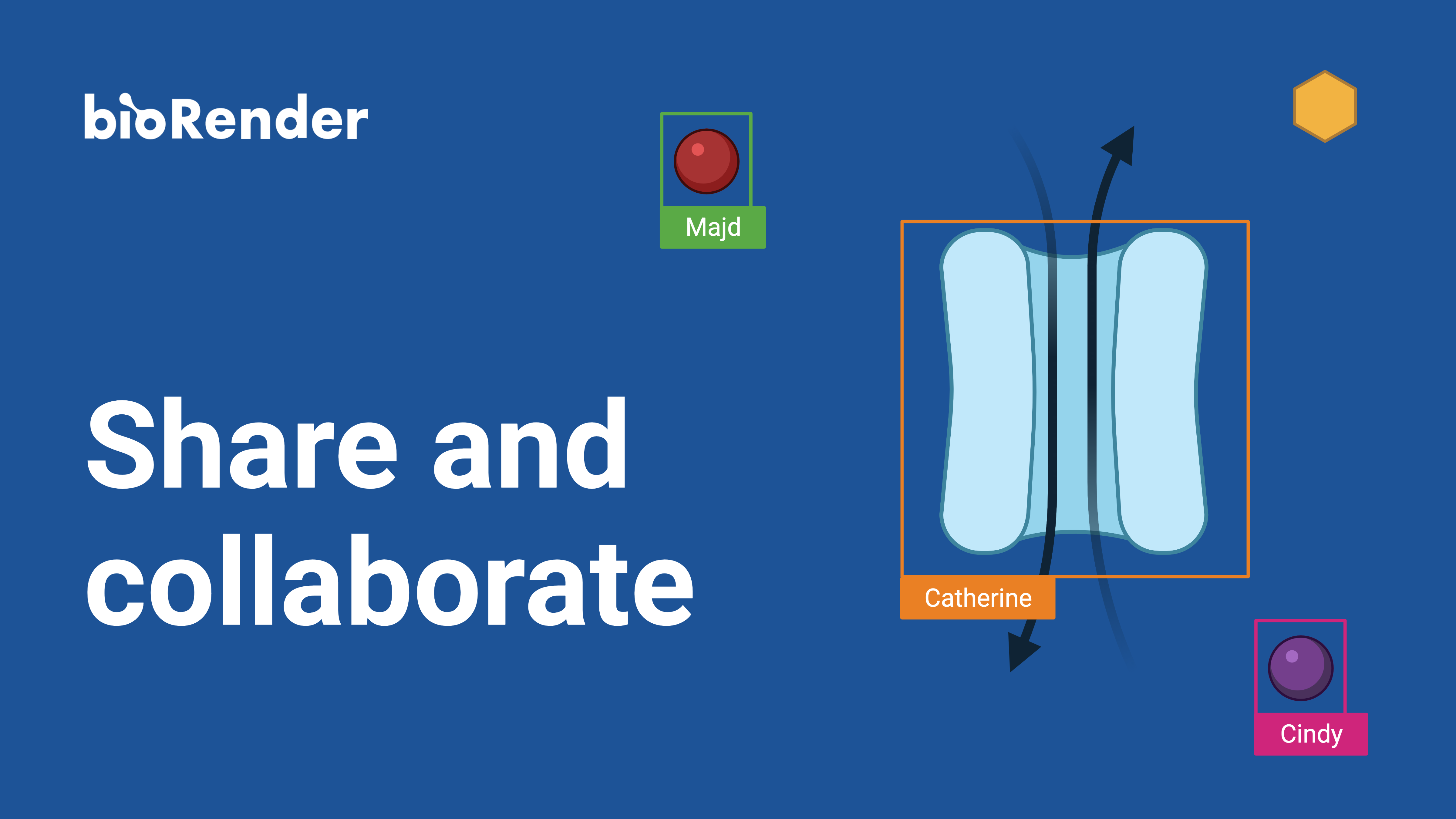 Share and collaborate