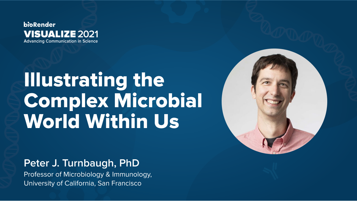 Illustrating the Complex Microbial World Within Us