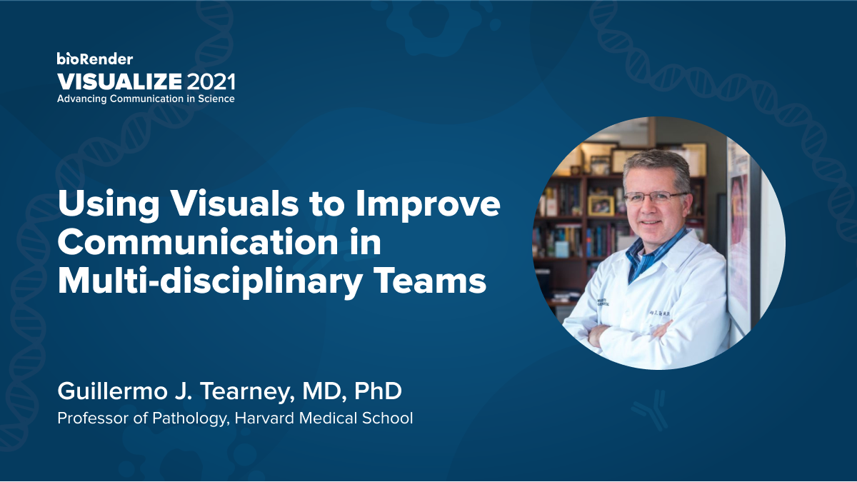 Using Visuals to Improve Communication in Multi-disciplinary Teams