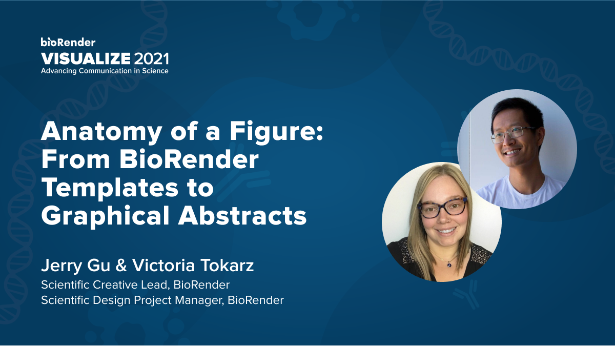 Anatomy of a Figure: From BioRender Templates to Graphical Abstracts