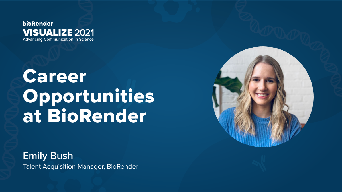 Career Opportunities at BioRender