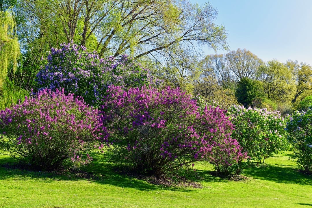 The Brightonian Nursing Home Assisted Living Brighton NY