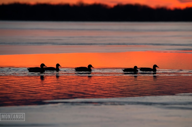 Latta Road Nursing Home East Assisted Living Rochester New York Care