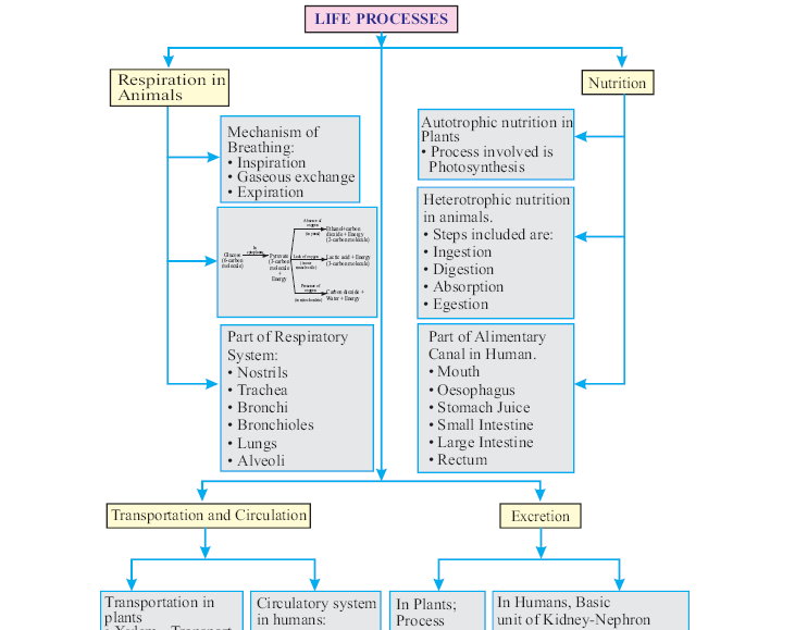 Class 10 Subject-wise Material