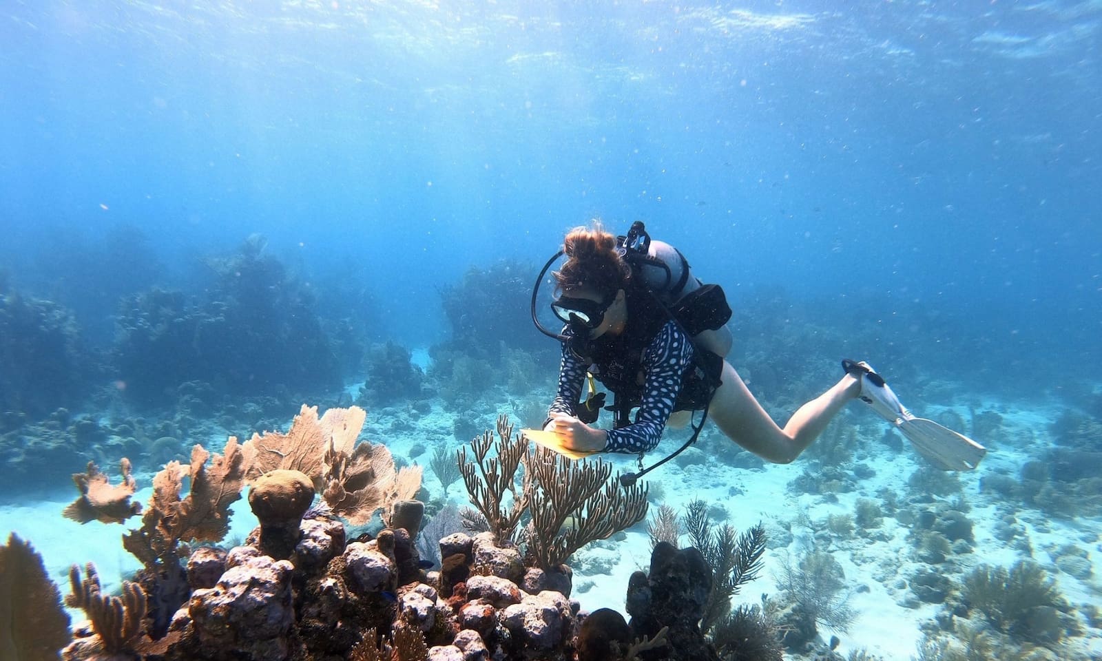 women in ocean science