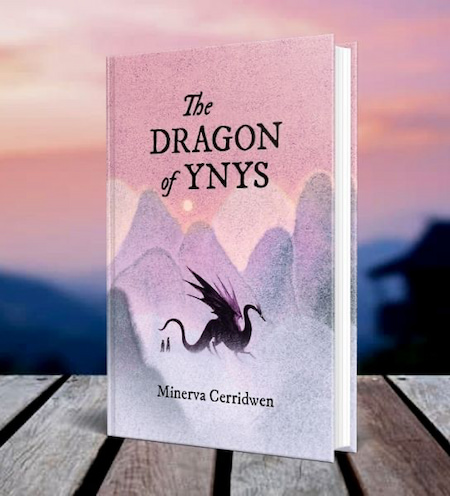 Are you a lover of dragon quests and knights, but tired of reading heteronormative books? Well, we may have found just what you are looking for: ‘The Dragon of Ynys’.