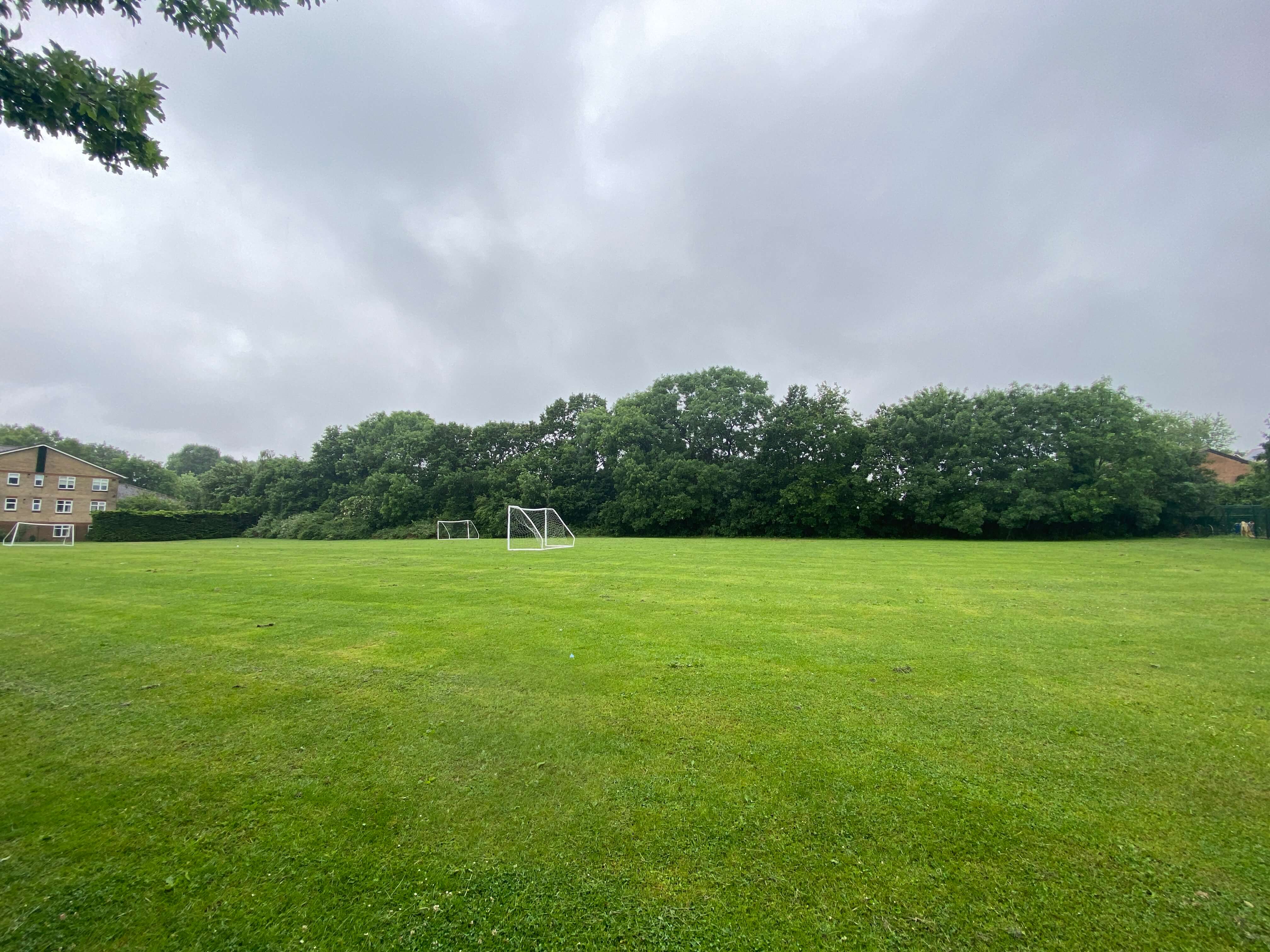 Main Field Hire Queenswell Junior School Sharesy