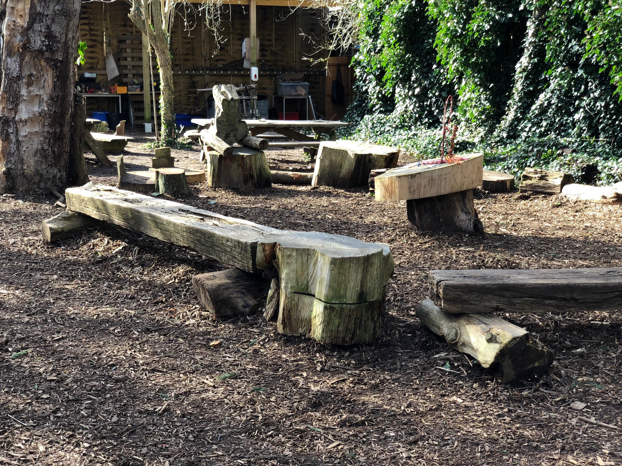 Forest Area Hire Rhodes Avenue Primary School Sharesy