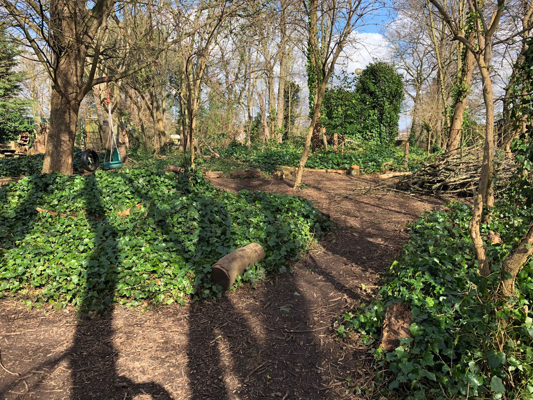 Forest Area Hire Rhodes Avenue Primary School Sharesy