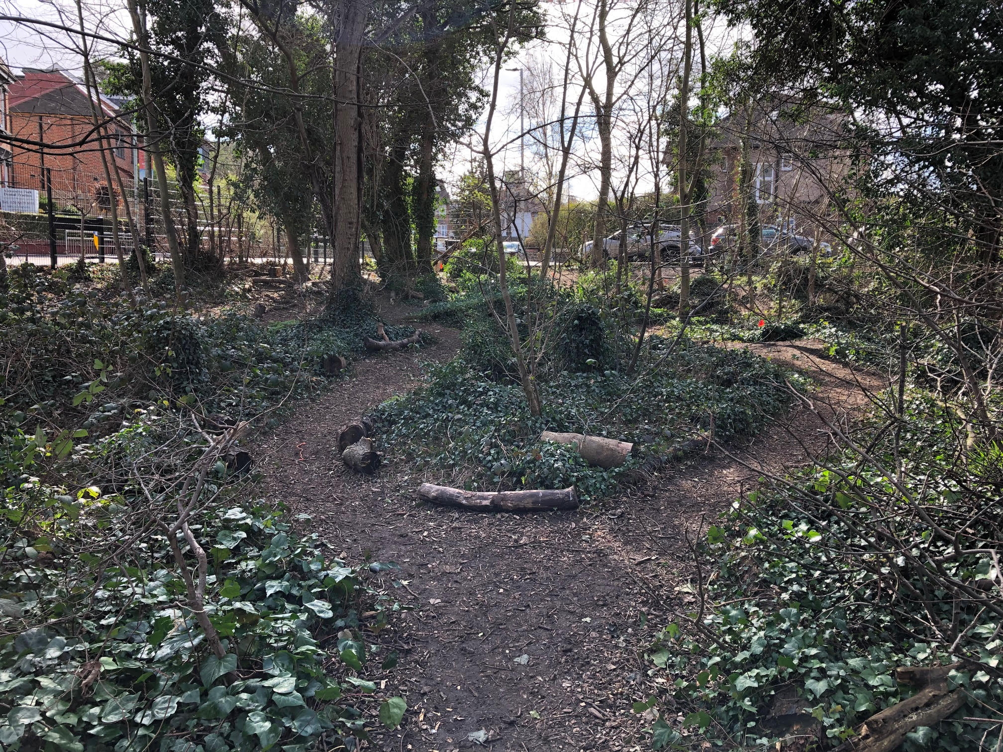 Forest Area Hire Rhodes Avenue Primary School Sharesy