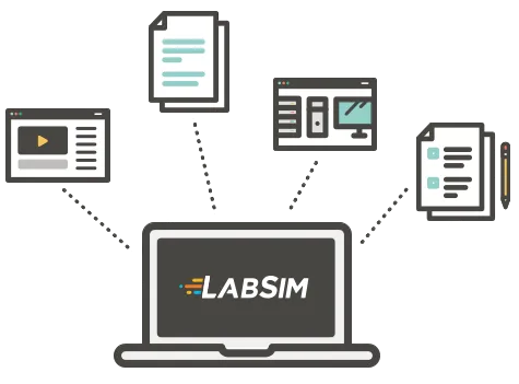 LabSim Components