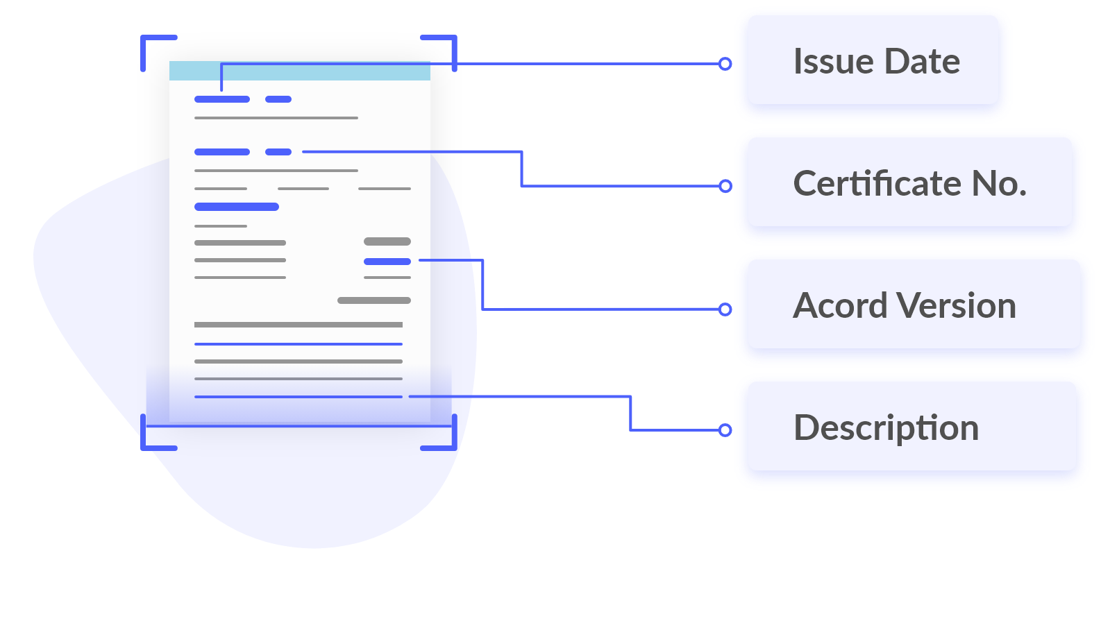 Capture Data & Automate Workflow