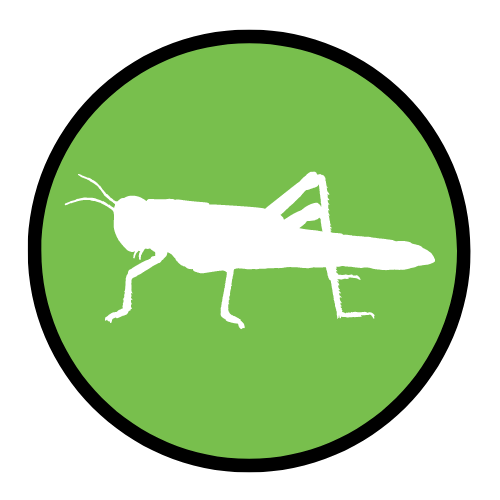 Fortified I Las Vegas Pest Control