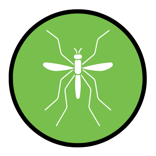 Fortified I Las Vegas Pest Control