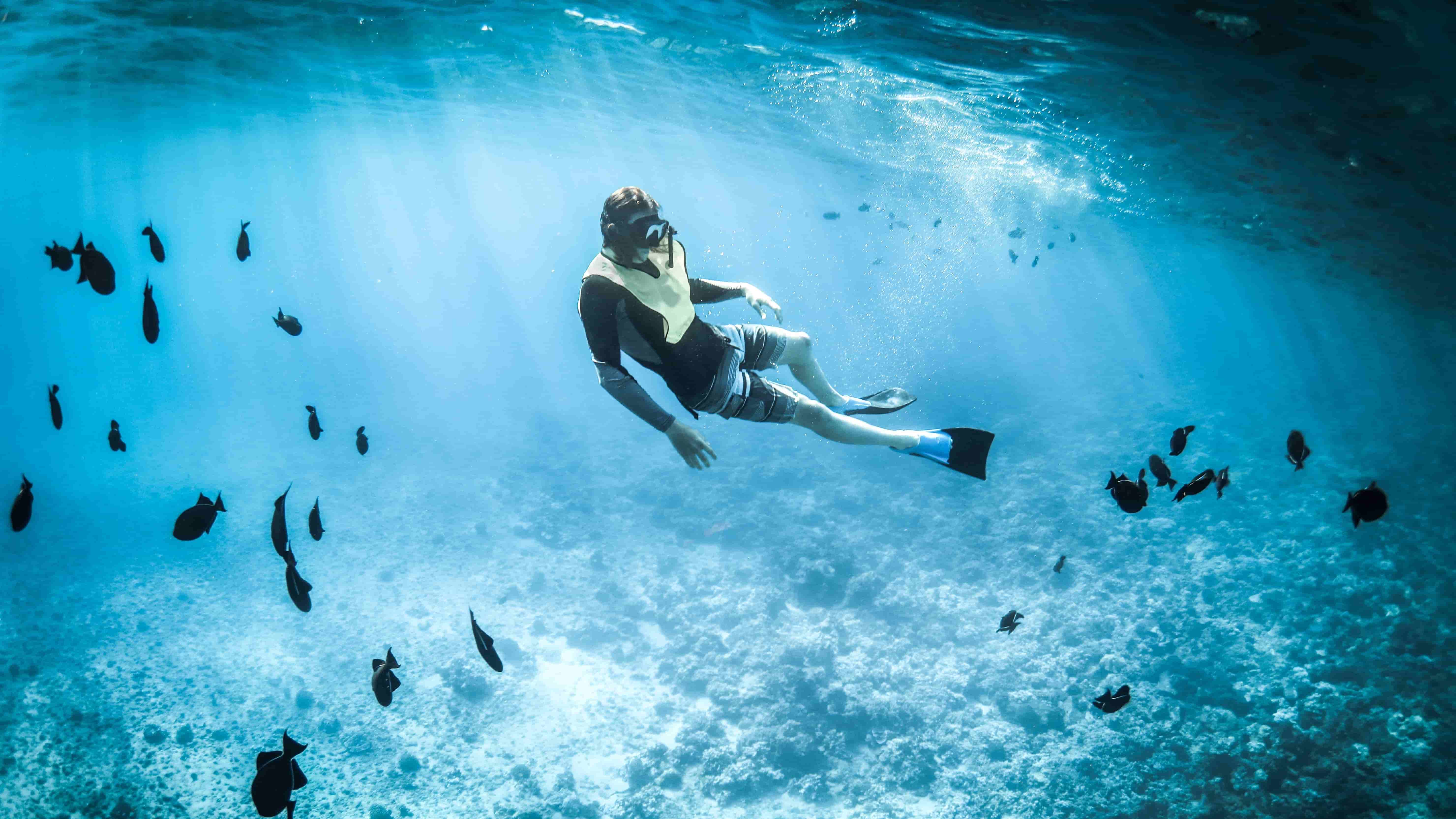 il mare libera la mente