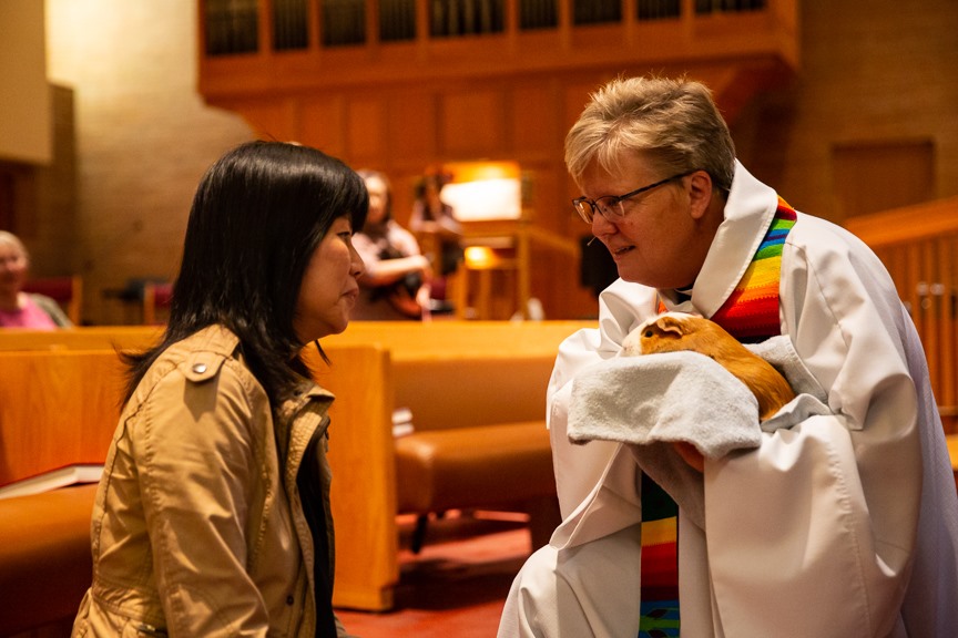 Unleash generosity in your congregation