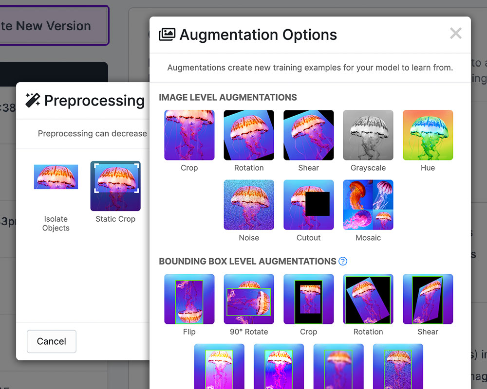 Roboflow Annotate: Label Faster Than Ever