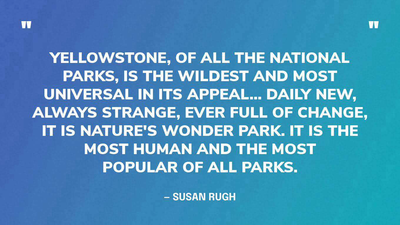 84 Best National Park Quotes For Your Next Adventure (2023)