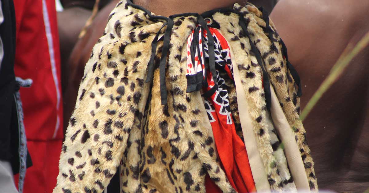 How Synthetic Furs are Saving African Leopards and Cultural Traditions