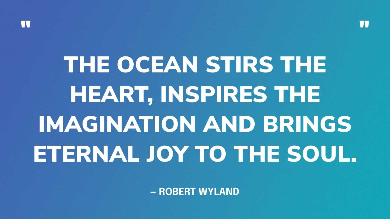 74 Best Ocean Quotes To Inspire Awe & Care