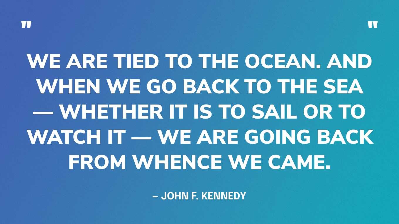 74 Best Ocean Quotes To Inspire Awe & Care