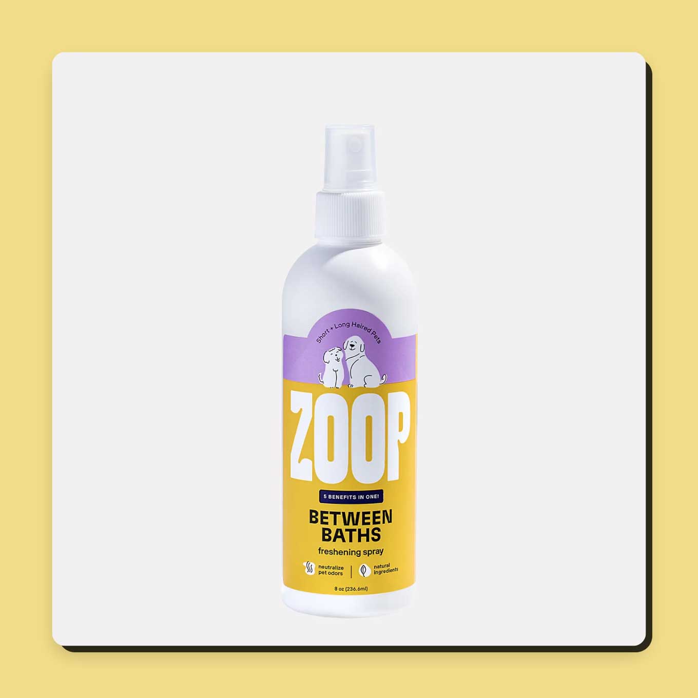 42 Best Sustainable Pet Products for Dogs & Cats (2023)